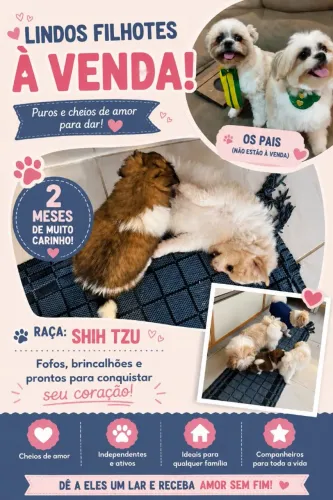 Cachorros a venda