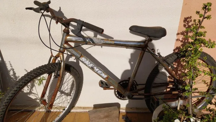 Bicicleta