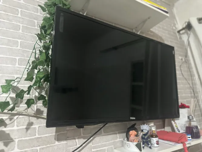Televisão