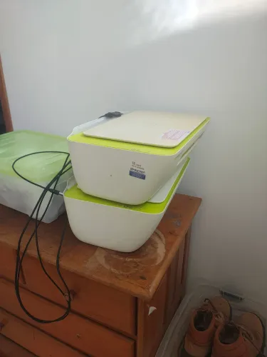 Impressora hp funcionando