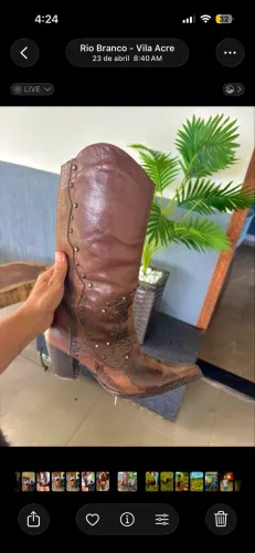 Bota