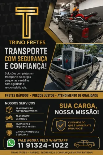 Frete Carreto Mudança Coletas Entregas 