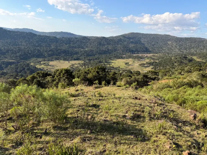 Terreno em Urubici - R$ 159 mil (02 hectares)