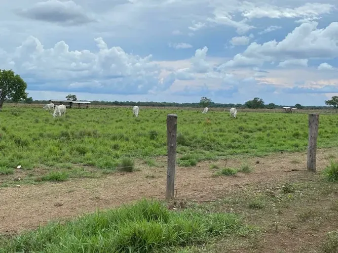 Fazenda em Goiás, Piracanjuba, 170 alqueires 400 mil por alqueires