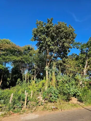 Lote jardim Vila Boa