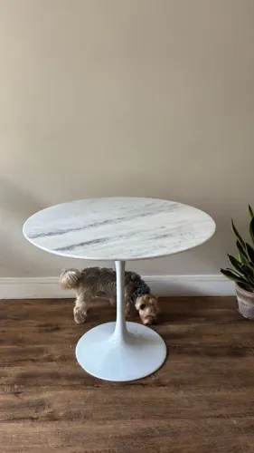 Mesa de jantar saarinen tampo de 90 espirito santo