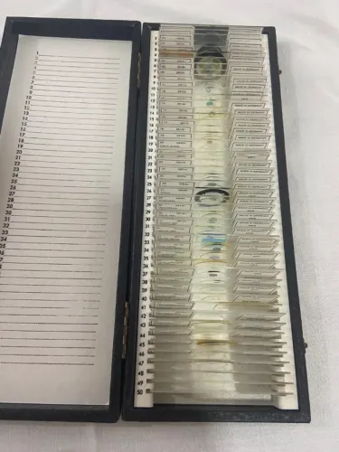  Lâminas Microscópio Coleção Botânica Fanerógamas