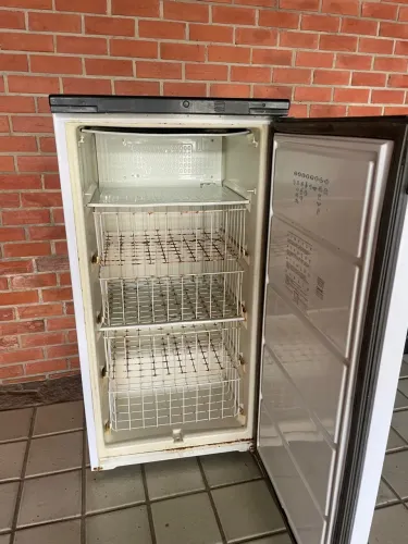 Freezer Vertical para Conservação de Alimentos