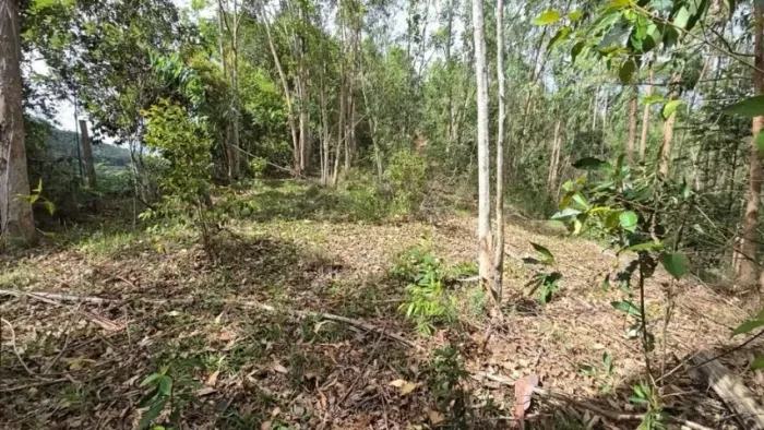 Troco SITIOS Valores a partir de R$ 50.000 Áreas entre 2.000m² e 6.700m², parcelo , troco 