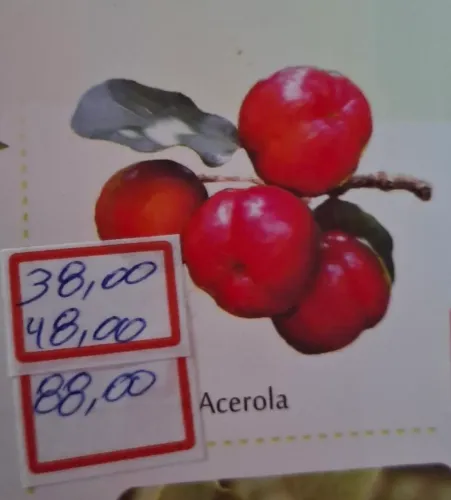 Mudas de acerola temos 3 tamanhos ( $38,00 /$48,00 /$88,00) 