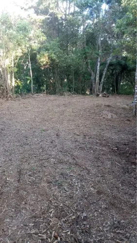 Terreno 1800 m2 em Mury - Nova Friburgo - Cond com casas e natureza