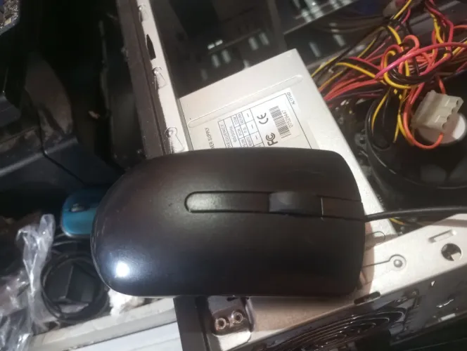 Mouse