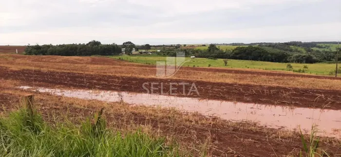 Sítio em Santa Tereza do Oestes 15 alq Plantio de Soja Produção de 8.000 mil Lt Leite mês
