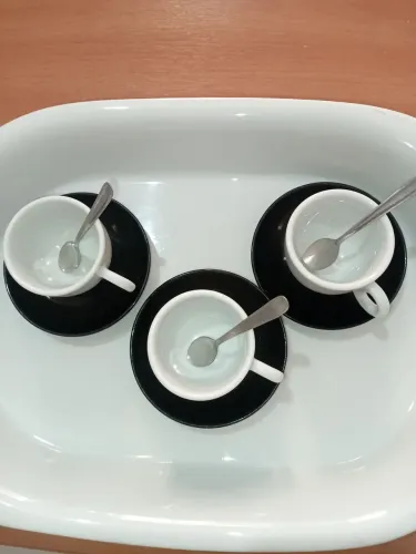 Kit 3 xícaras de café Schmidt com pires e colheres 