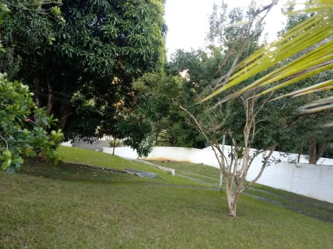 Lindo Sitio, com tanque de Peixe, piscina, 6500m², estuda troca com casa ou ap