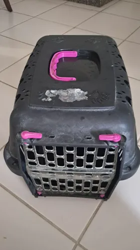 Caixa Transportadora Cães e Gatos