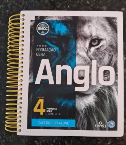 Caderno do aluno 4 - Anglo - Formação Geral