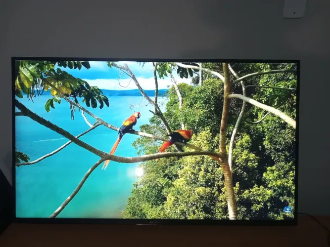 Tv sony 49 polegadas 4k Smart 