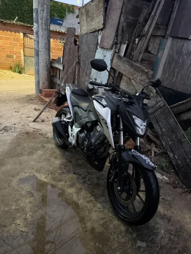 CB 300F TWISTER