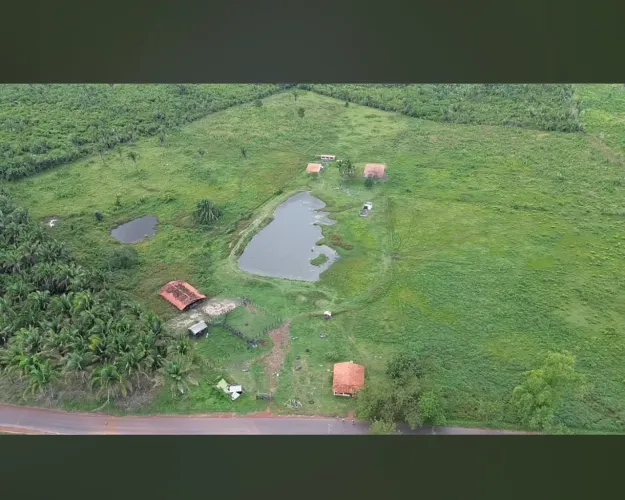 Vendo Fazenda em Alto Alegre do Maranhão
