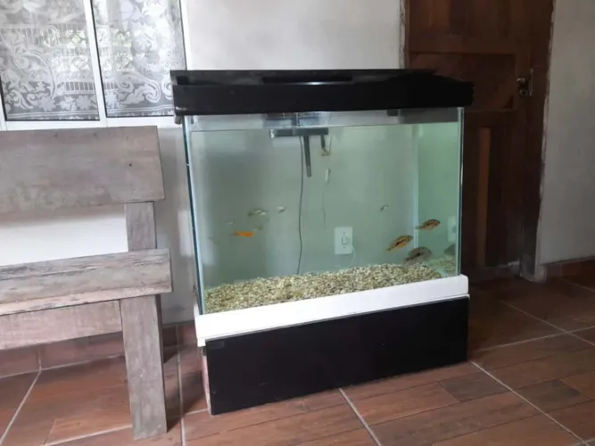 Aquário 200 litros
