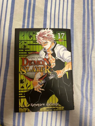 Demon Slayer vol. 17