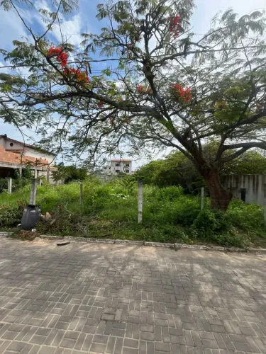 Lote, Terreno em Itaipava 600 m2