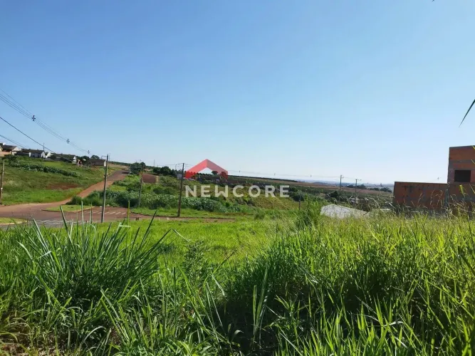 Lote em Avenida Cantares - Conjunto Habitacional Doutor José dos Santos Rocha - Cambé/PR