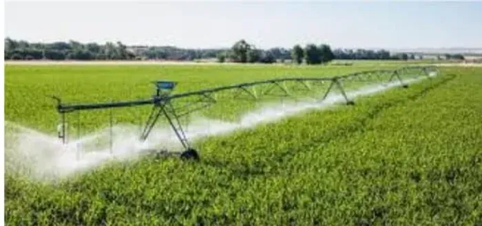 Fazenda com Frigorífico dentro 60.288 mil hec na BA. 650 milhões.