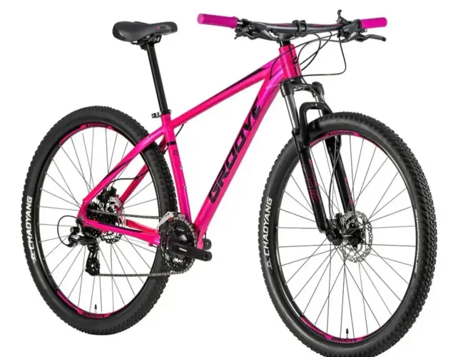Bike Groove aro 29