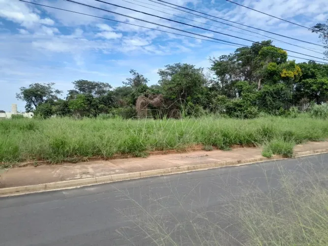 Venda de Terreno / Área na cidade de Araraquara