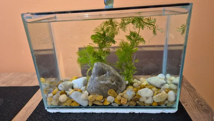 Aquário 5 litros montado