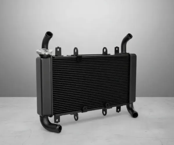 Radiador Cb650f