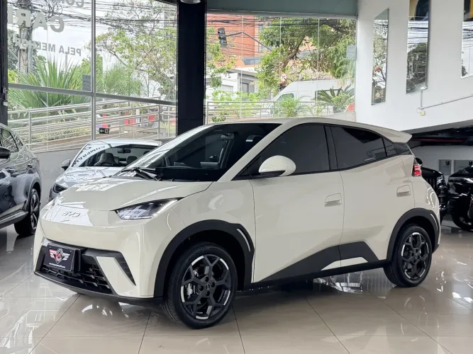 BYD Dolphin Mini (Elétrico) 2027