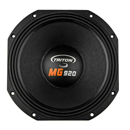 ALTO FALANTES TRITON 12" 920MG ORIGINAL