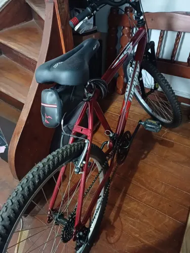 Bicicleta