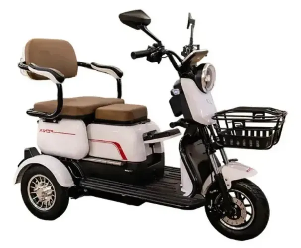 Triciclo elétrico fênix duos