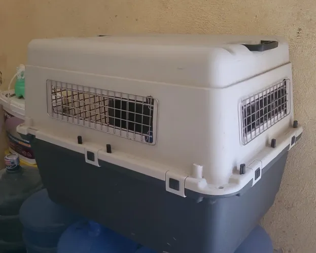 Caixa transporte Pet 