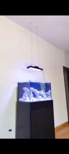 Aquário marinho