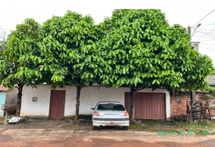 Casa de 162m² no Centro, - Barrolândia/TO