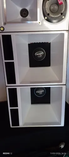 Dois medio de 10 Triton 10XRL800 pra trocar em 2 de 12 Eros ou hp