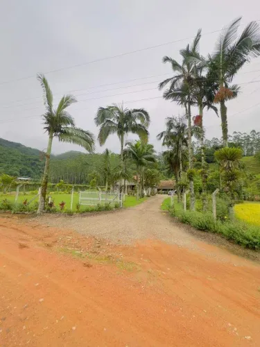 Chácara / Sítio à venda, 3 quartos, 2 vagas, RIBEIRAO SAO PAULO - Ascurra/SC