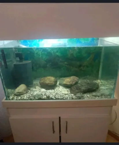 Aquário 250 Litros