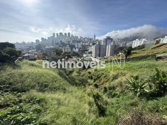Venda Lote-Área-Terreno Palmeiras Belo Horizonte