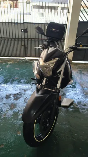Suzuki GW Inazuma 250
