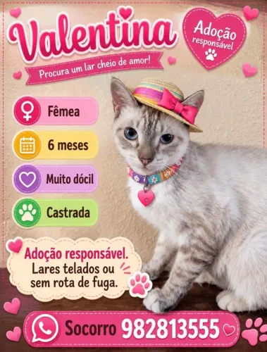 Gata 
