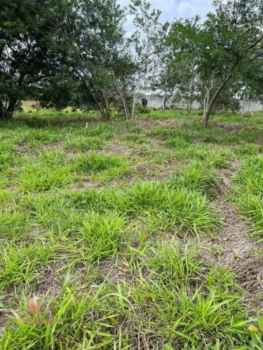 Terreno à venda, 1172 m² por R$ 360.188,00 - Condomínio Reserva Ibirapitanga - Santa Isabe