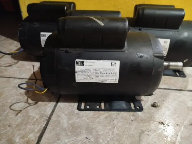 Motor elétrico WEG