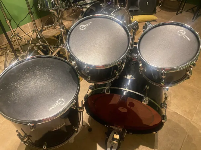 Pearl export exl 