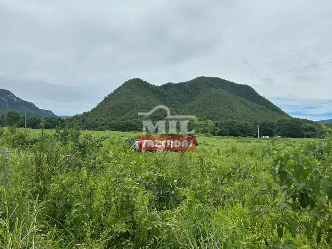 Fazenda em Alto Paraíso de Goiás 60 alqueires (288,88 Hectares)